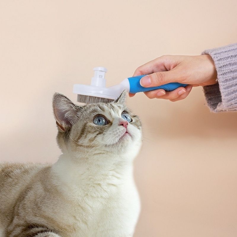 Escova Removedora Tira Pelos Para Pets